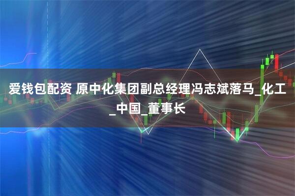 爱钱包配资 原中化集团副总经理冯志斌落马_化工_中国_董事长