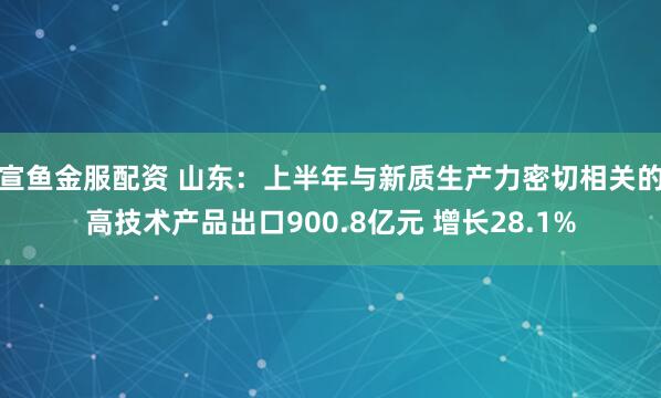 宣鱼金服配资 山东：上半年与新质生产力密切相关的高技术产品出口900.8亿元 增长28.1%