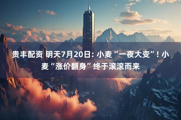 贵丰配资 明天7月20日: 小麦“一夜大变”! 小麦“涨价翻身”终于滚滚而来