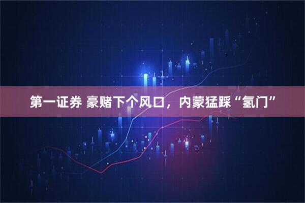 第一证券 豪赌下个风口，内蒙猛踩“氢门”